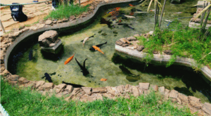 KawaLagos - Sobre Nós